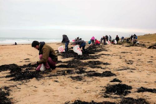Les Mains Dans Le Sable