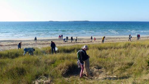 Les Mains Dans Le Sable