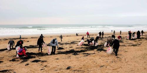 Les Mains Dans Le Sable