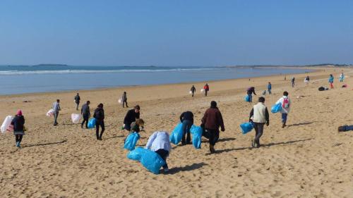 Les Mains Dans Le Sable